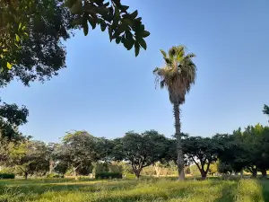 Kafrawy Park