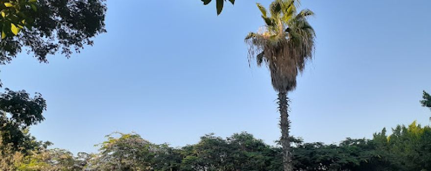 Kafrawy Park