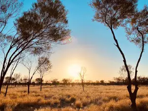 Tropic of Capricorn