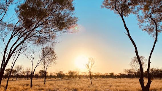 Tropic of Capricorn