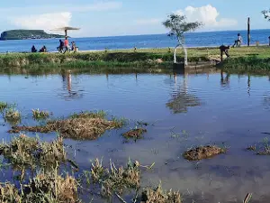 Bukoba Club