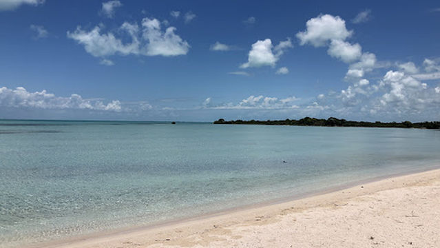 Belize Candace Fish & Reef Tour