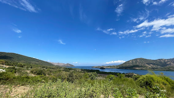 Komodo