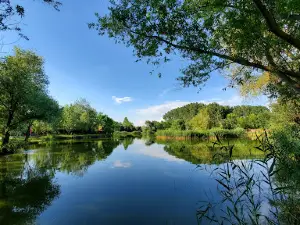 SZUSZ Park