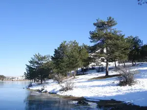 Pond Nature Park Query