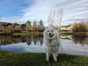 Boyd Skinner Park