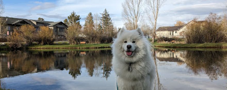 Boyd Skinner Park