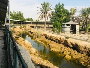 Azwair Family Resort Tourism
