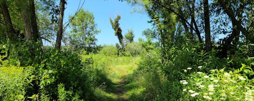 Indiana Dunes National Park Great Marsh Trail