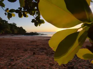 Plage de Sohoa