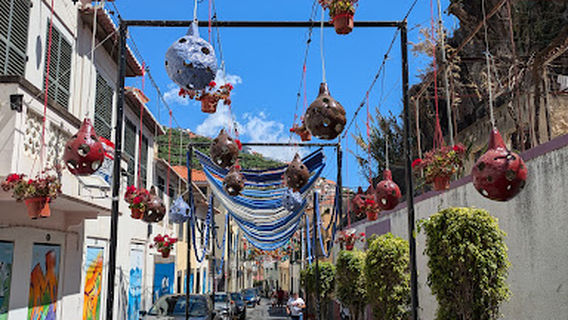 Câmara do Lobos Harbour