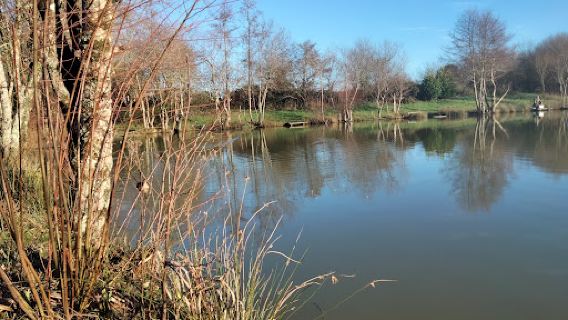 Bake Fishing Lakes