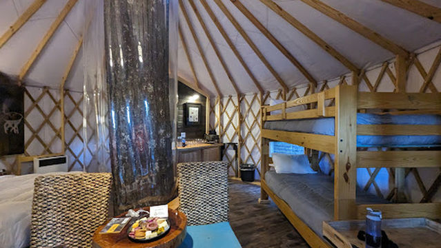 Alliance Redwoods Conference