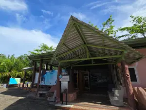 พิพิธภัณฑ์ช้างดึกดำบรรพ์ทุ่งหว้า Thungwa Stagodon Museum