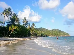 Manchaneel Beach