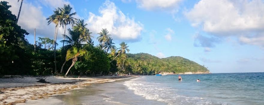 Manchaneel Beach