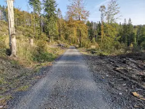 Těšíkovská kyselka