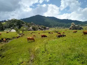 ENTRADA A TAPALPA