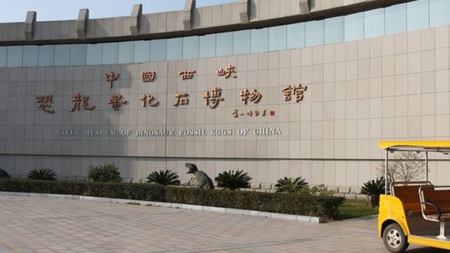 Dinosaur Egg Fossil Museum