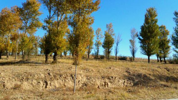 yan chang cheng yi zhi