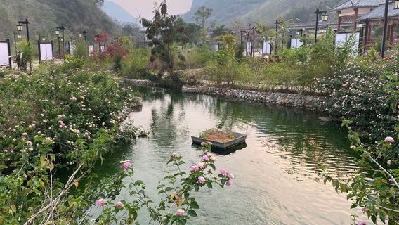 dian mian tie lu yi zhi