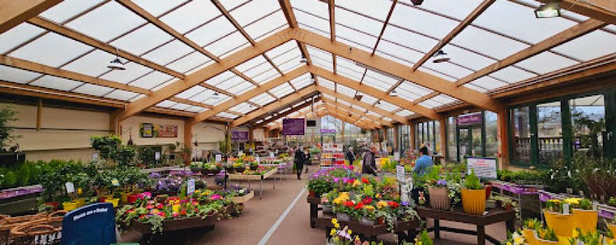 Monkton Elm Garden Centre