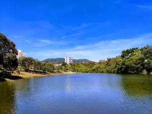 Botanical Garden Eloy Chaves