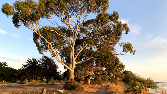 Motueka Sandspit - Quay Entrance