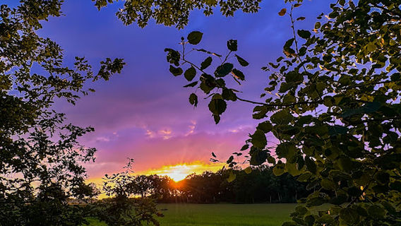 Mini-camping 't Bosch