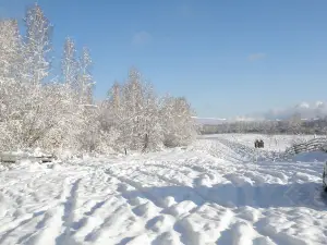 Potapych, Baza Otdykha