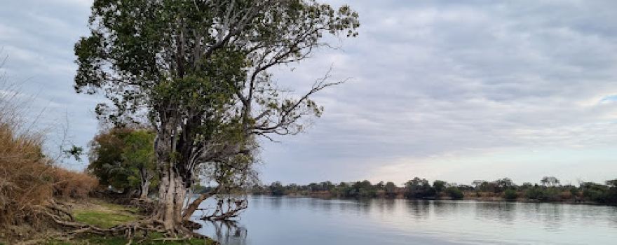 Mayukuyuku Bush Camp