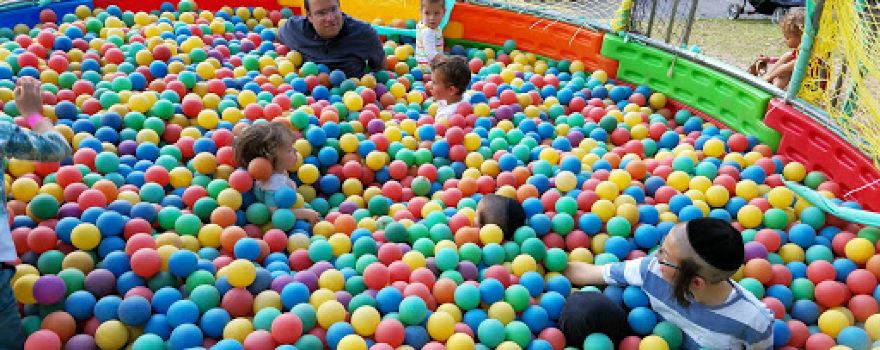 Family Fun Farm