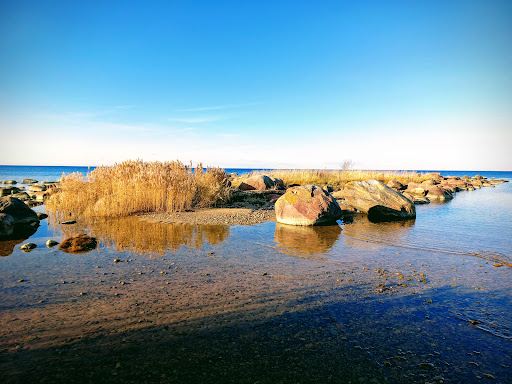 RMK Meremõisa telkimisala