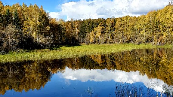Chena River Nature Trail