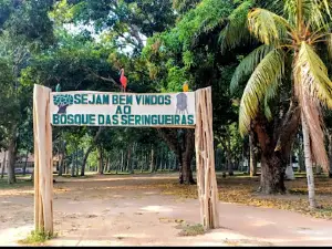 Bosque das Seringueiras