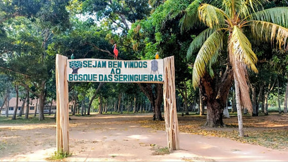 Bosque das Seringueiras