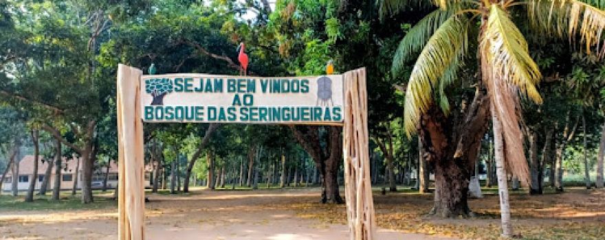Bosque das Seringueiras