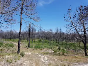 Parque de Merendas da Praia da Tocha