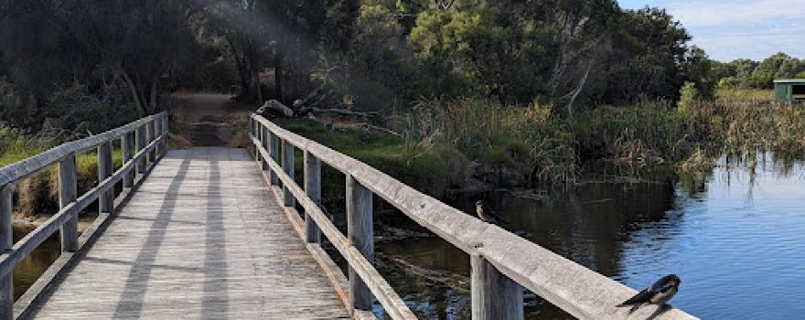 Big Swamp Parkland