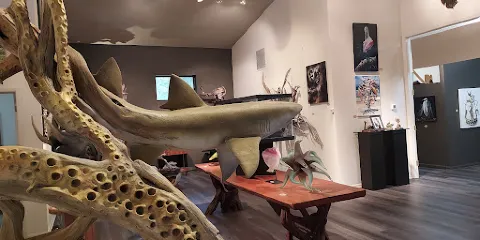 Baliker Gallery