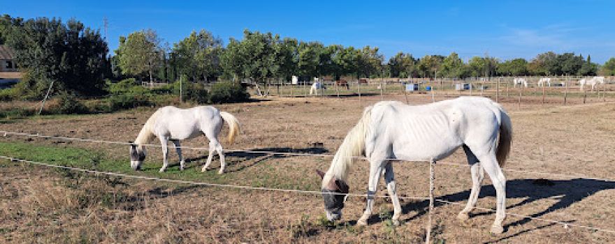 Camping Durance Luberon