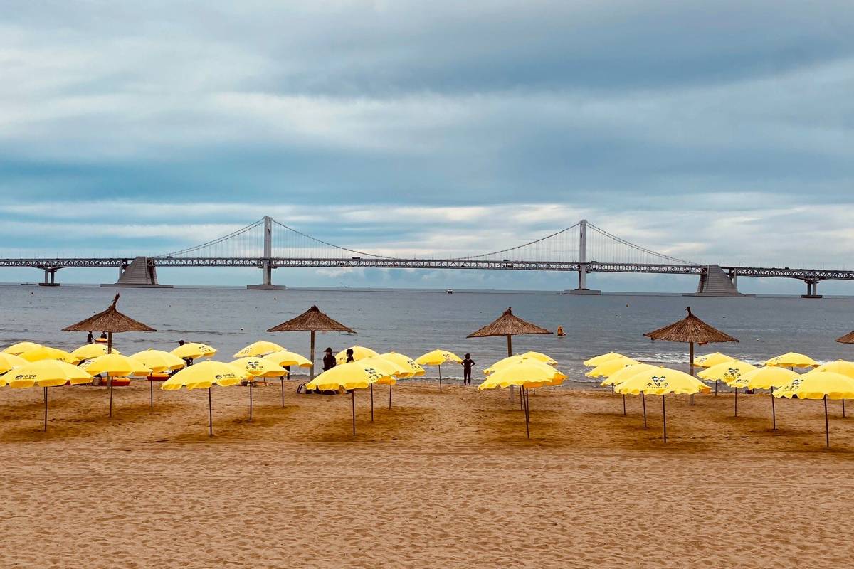 釜山の海を楽しもう