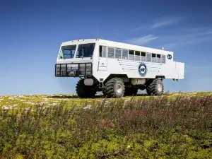 Frontiers North Adventures - Churchill Office