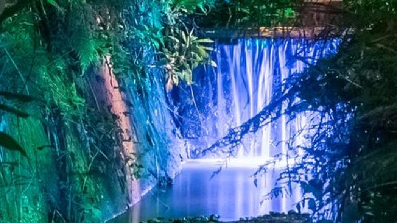 Shanklin Chine