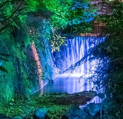 Shanklin Chine