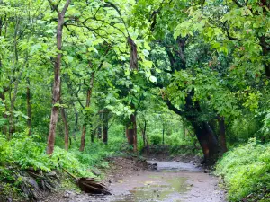 Tungareshwar Temple