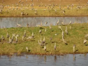 Wheeler National Wildlife Refuge Visitor Center