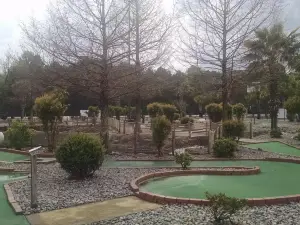Fun Zone