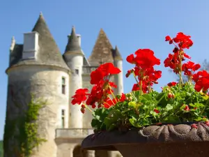 Château des Milandes