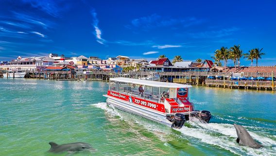 Dolphin Quest Eco Tours